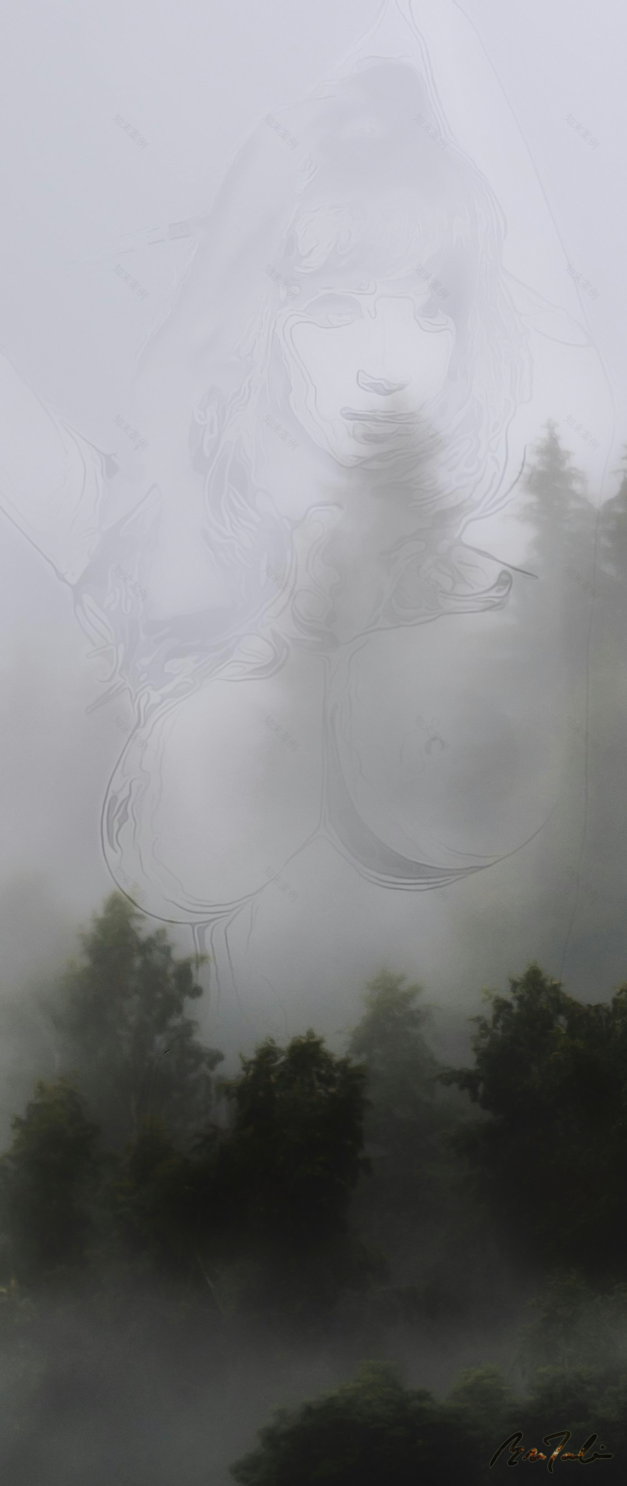 世界上的树木丨Sylvie D.-251