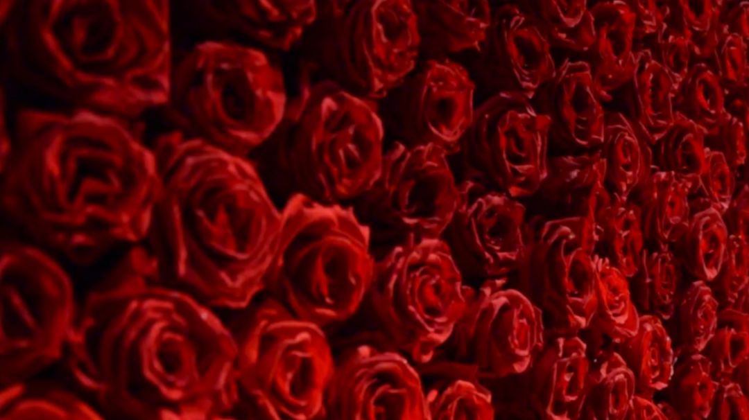 奥斯卡舞台设计 | 川普发型背后的包容性理念-63