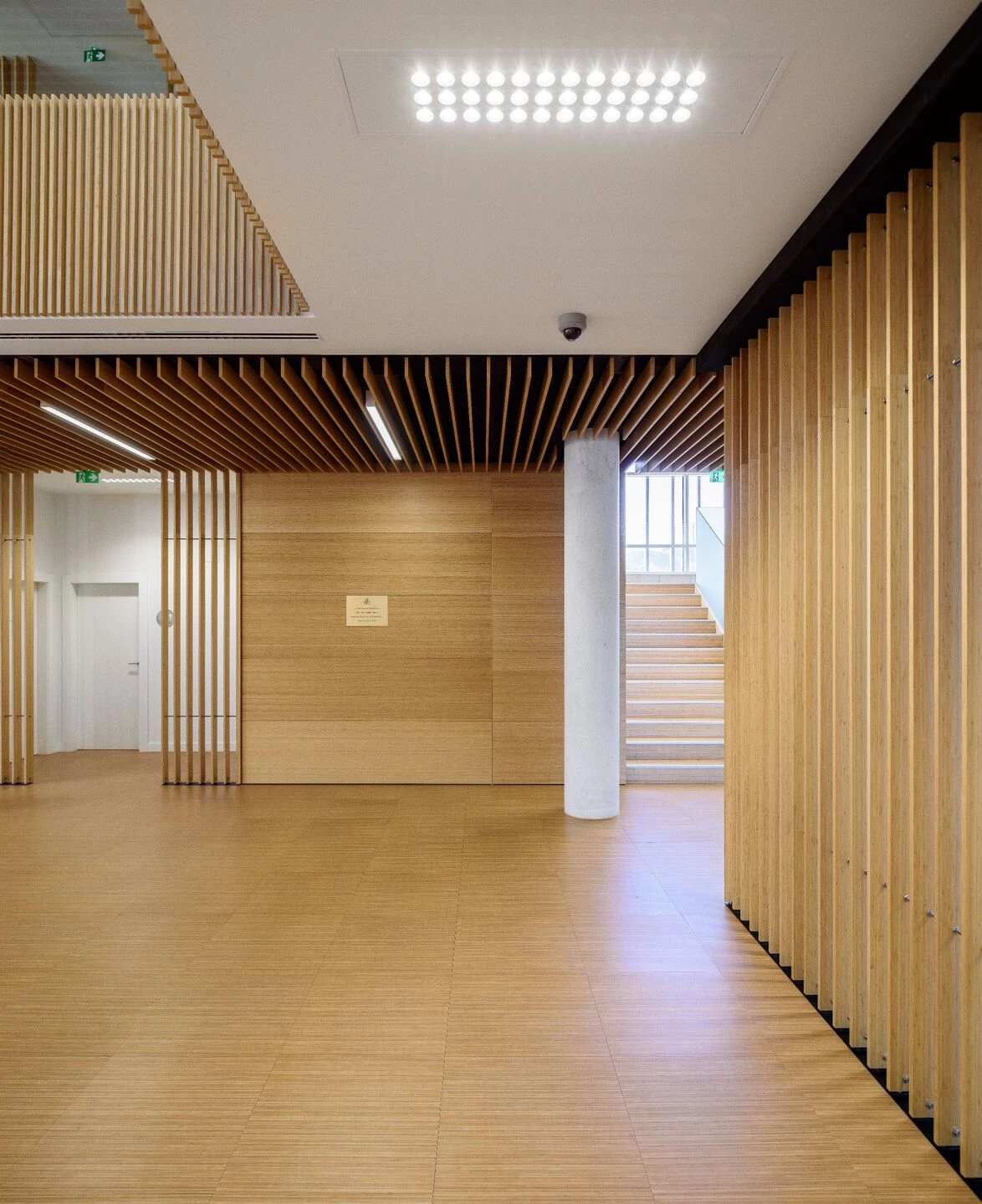 西班牙国家社会保障局摩特里尔办公室丨西班牙 Erisur 建筑事务所-13