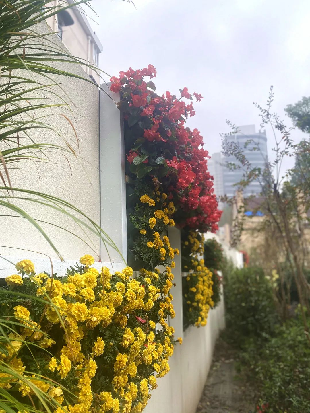 颜值爆表！长宁区有一处街心花园建成开放-28