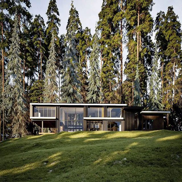 极简主义别墅，融入自然的艺术魅力-85