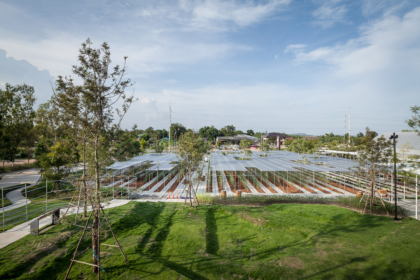 都市农场,泰国 / Integrated Field Co.,Ltd.-59