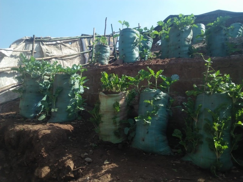 丨肯尼亚内罗毕-36