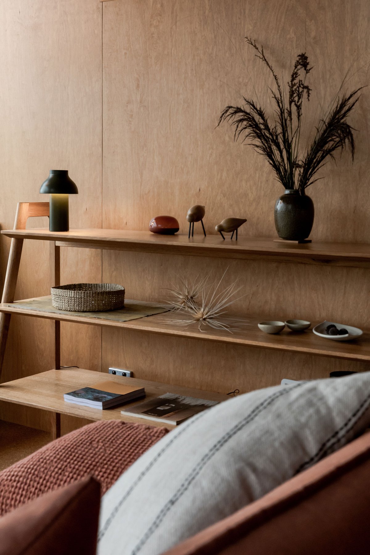 Swansong 住宅丨Sam Cox 和 Lisa Hatfield-11