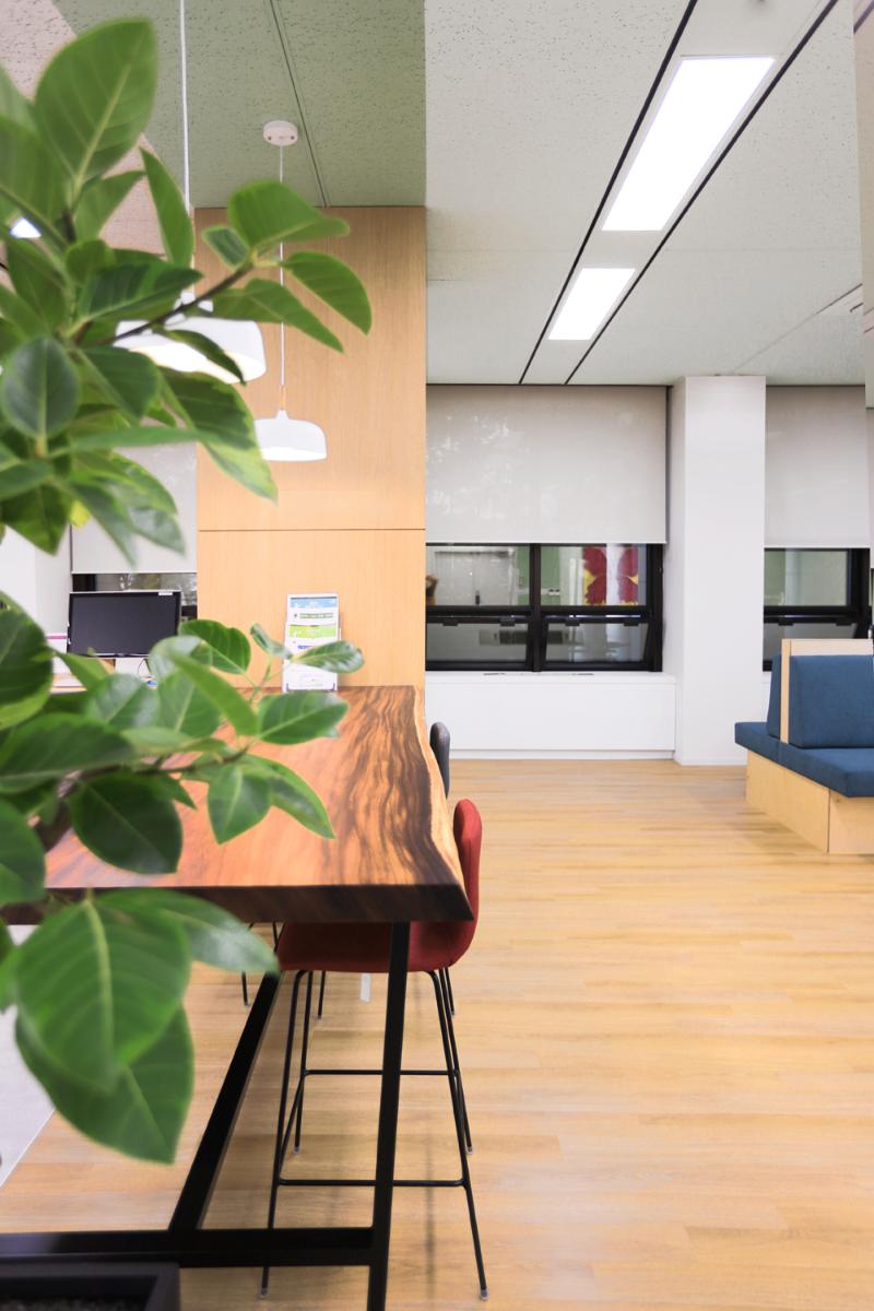 国会图书馆 | 明亮温馨的国会内阅读空间-12