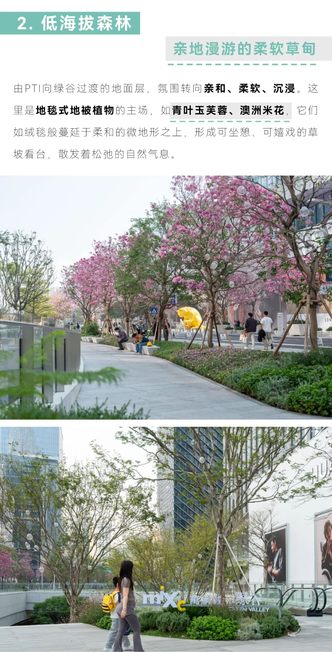 深圳湾万象城二期 丨中国广东深圳丨iPD澳洲艺普得-7