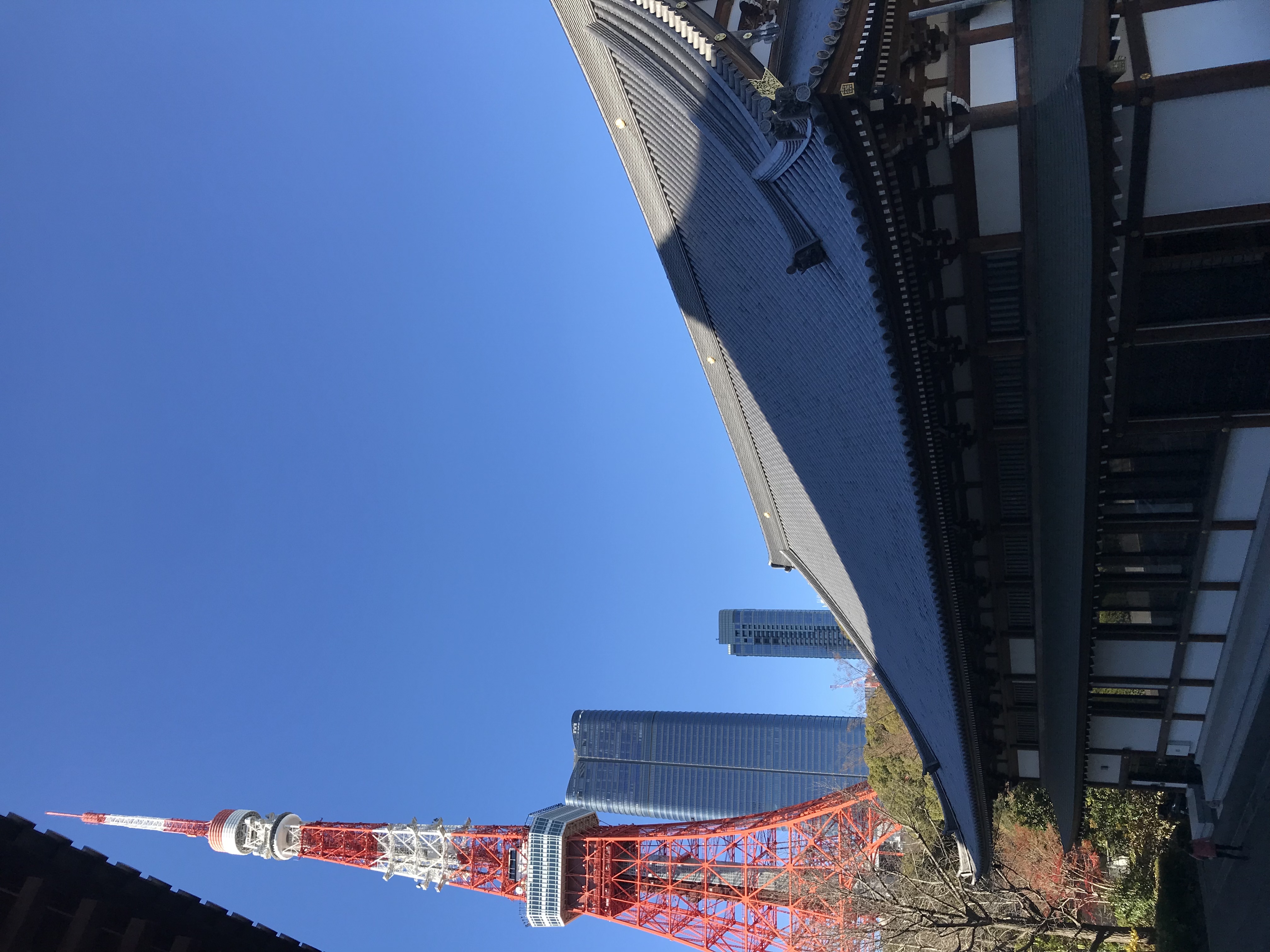 増上寺 （令和６年１月４日）Zojoji at Shiba Park-11