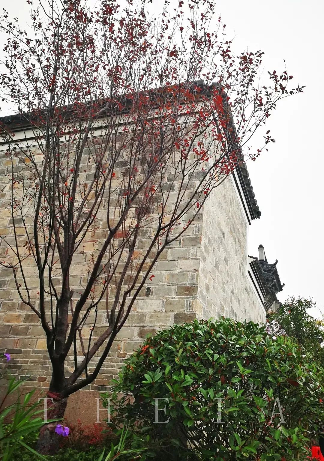 甬上情缘 | 十里红妆的园林艺术-76