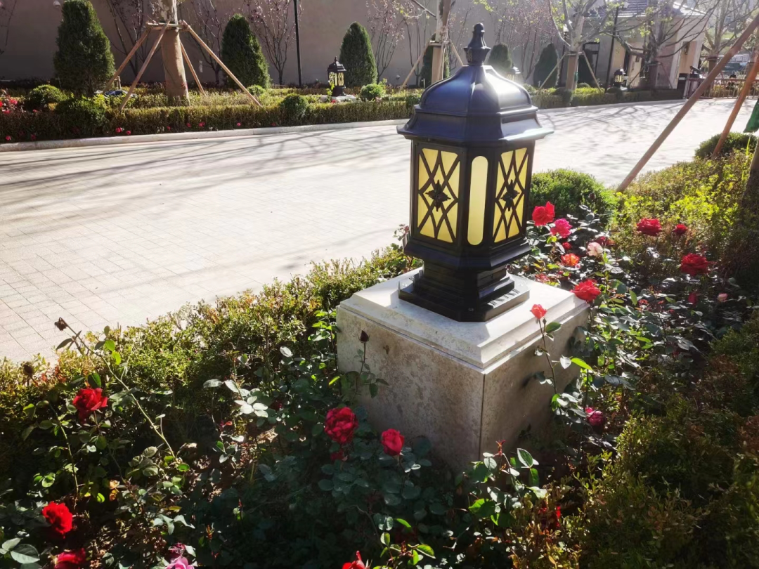 绿城玫瑰园葡萄酒小镇丨中国大连丨浙江蓝颂园林景观设计集团有限公司-24