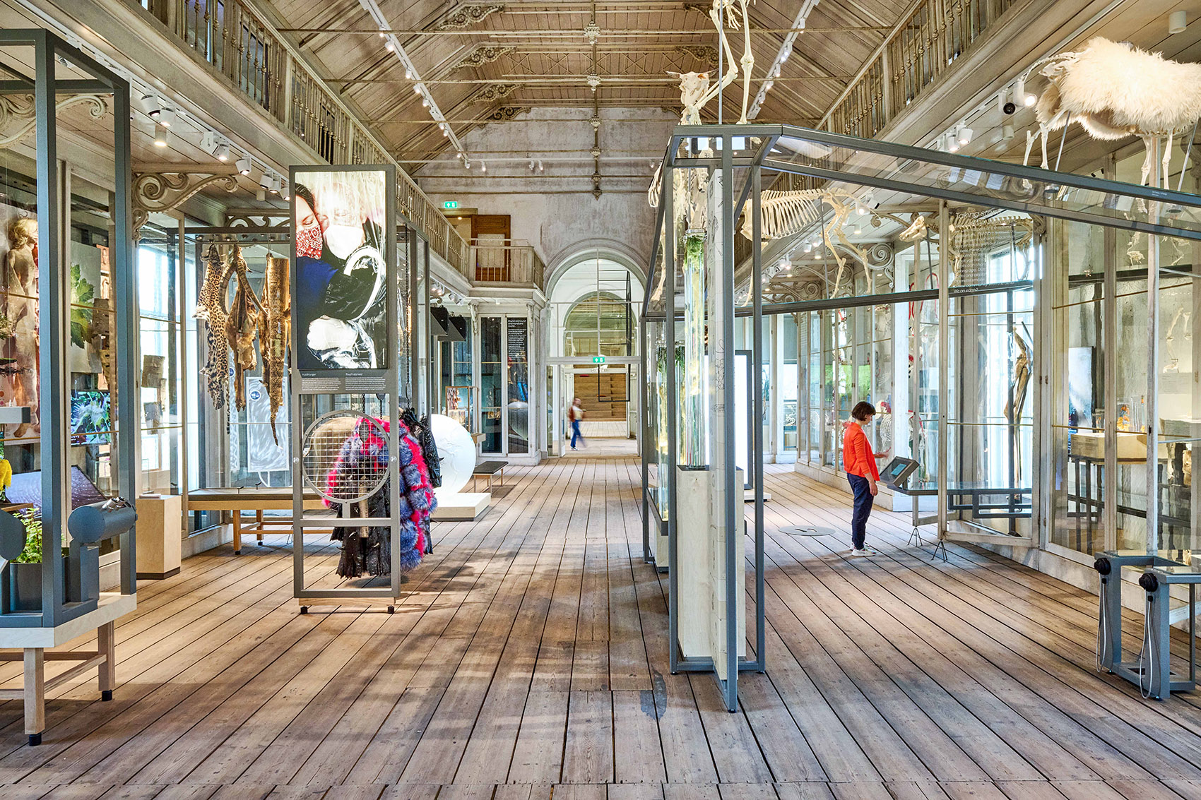 荷兰 Groote 博物馆丨Kossmanndejong+ARTIS-21