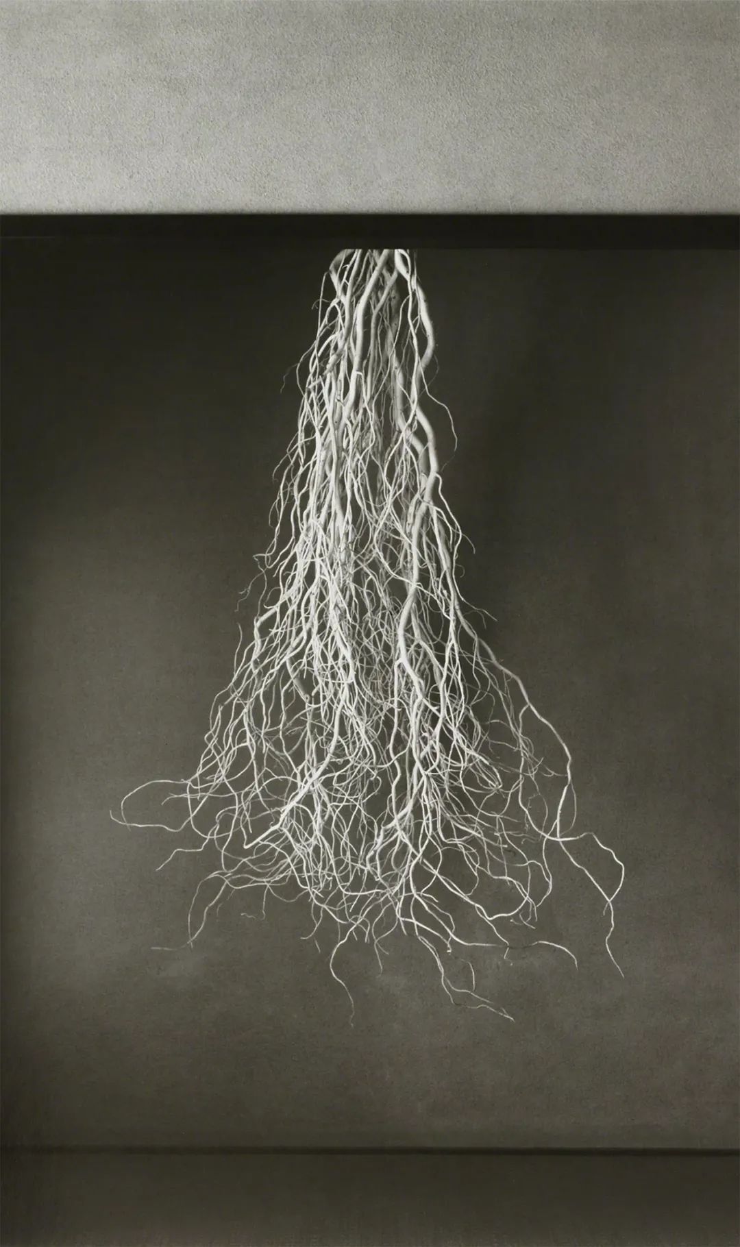 日式和风+潮玩元素，自由形态的空间之美 | 伶居设计-0