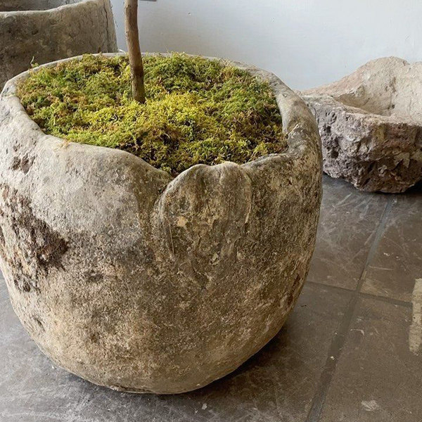 色 書店 IRO SHOTEN丨美国亚利桑那-7