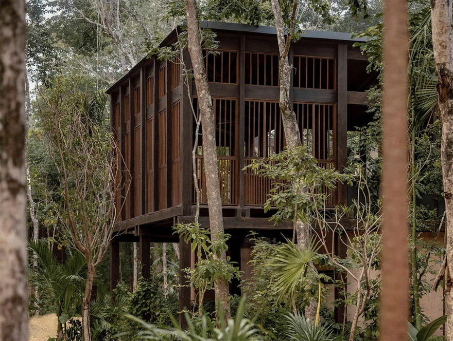 Boca de Agua 树屋酒店丨墨西哥丨Frida Escobedo 等-66