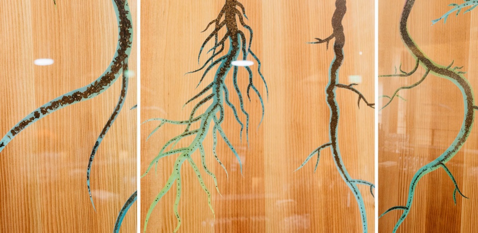 种子银行 | 活体墙的新方法,美国加州 / Miridae-40