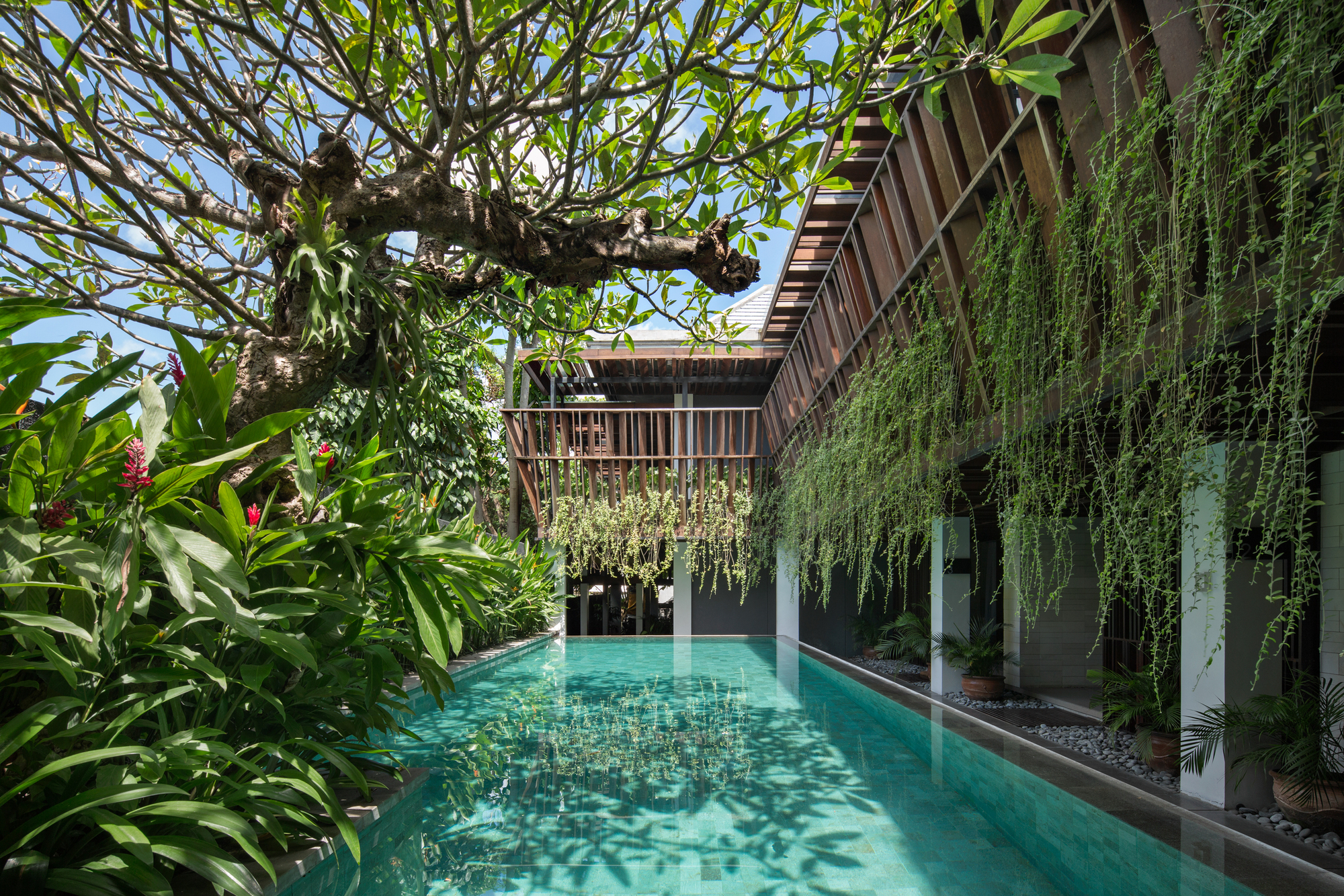 Kemilau Canggu 酒店丨印度丨PSA Studio-29