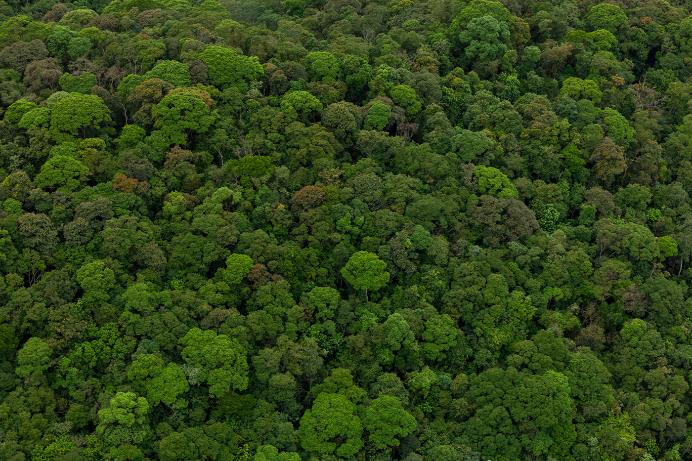 巴西空间利用调查 | 人间建构与自然景观的对话-9