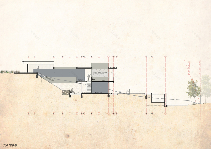 智利 PF House 丘陵景观中的宜居设计-40