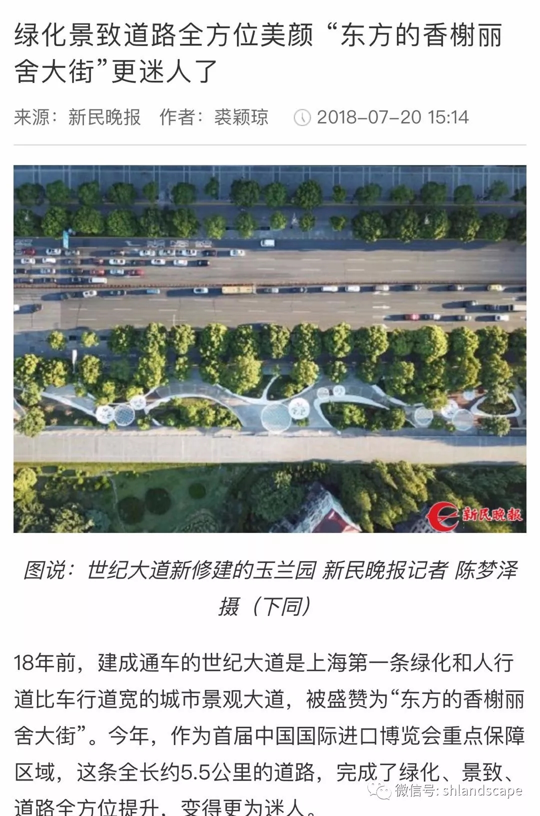 上海浦东世纪大道改造提升工程-86