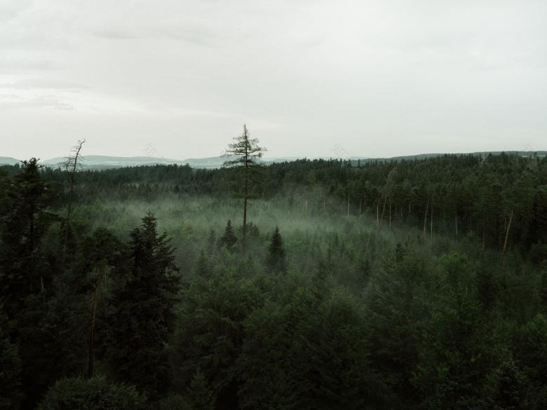 Hardwald 瞭望塔丨瑞士丨Luna Productions-12