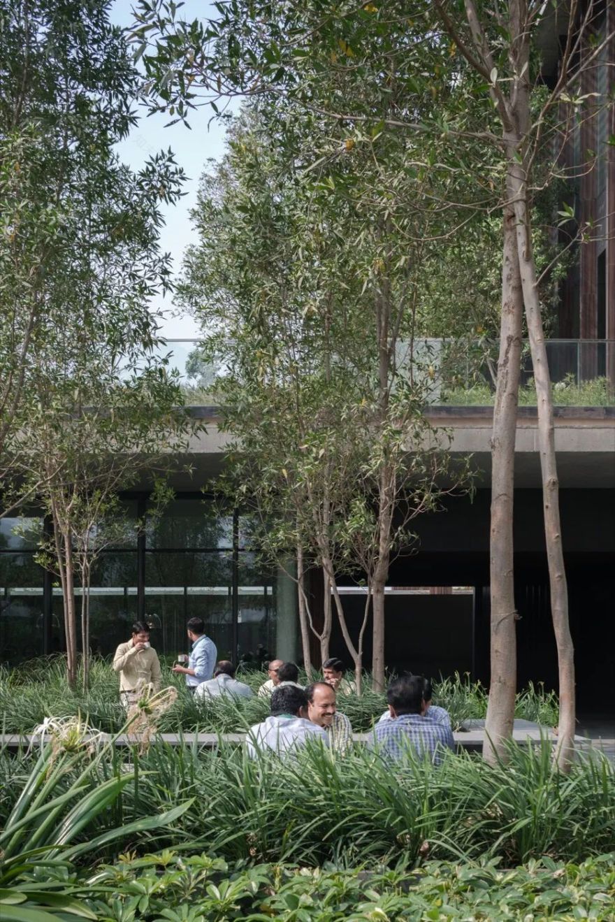 印度 Lupin Research 公园-29