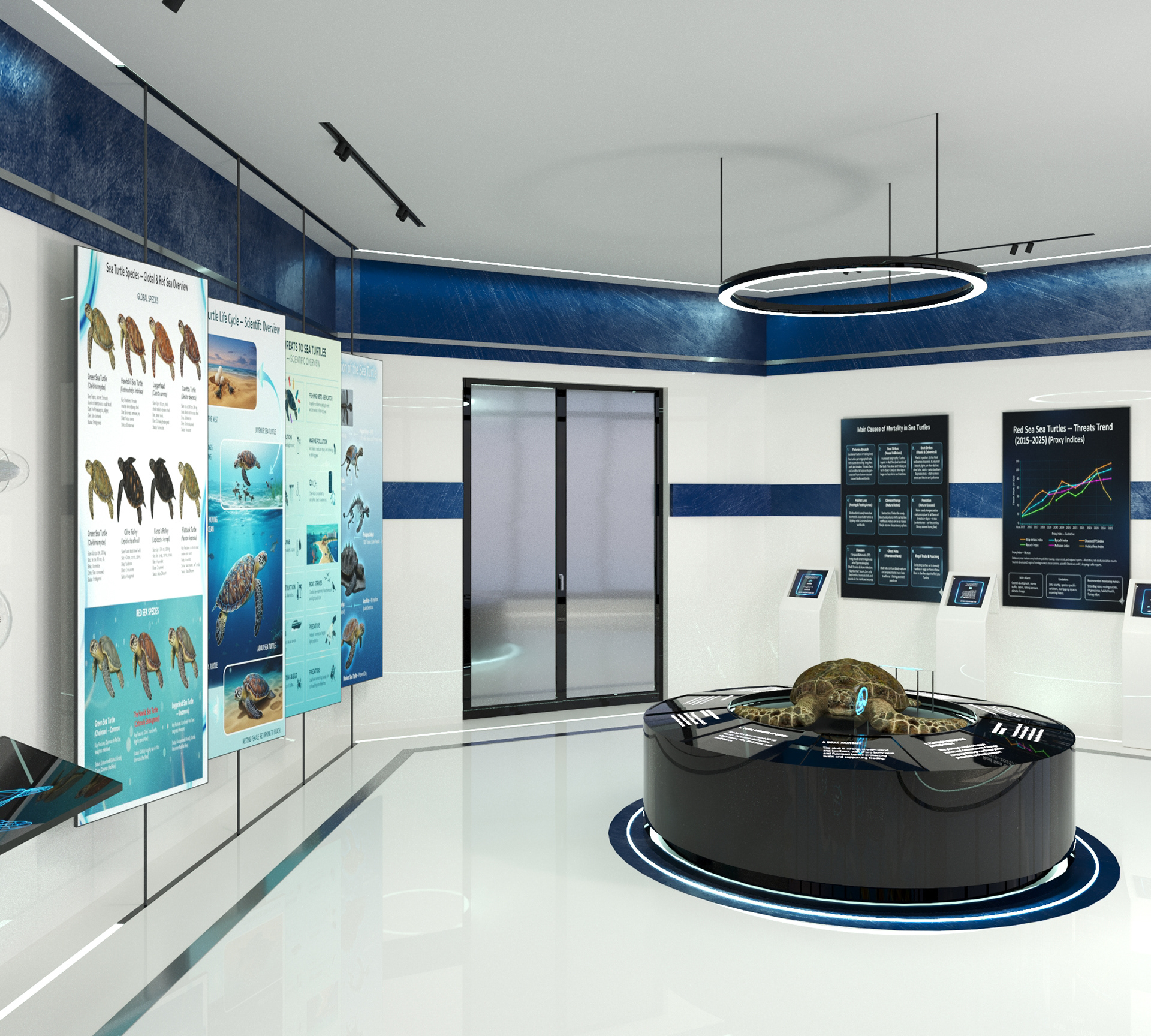 Sea Turtle Rescue & Rehabilitation Foundation-72