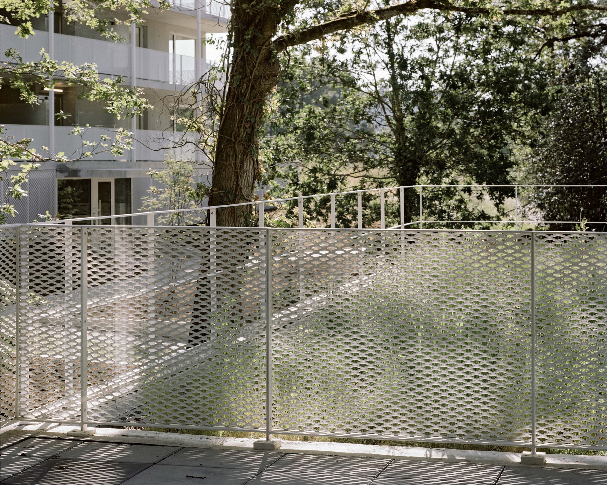 巴什住宅丨法国丨Philippe Dubus Architectes-33