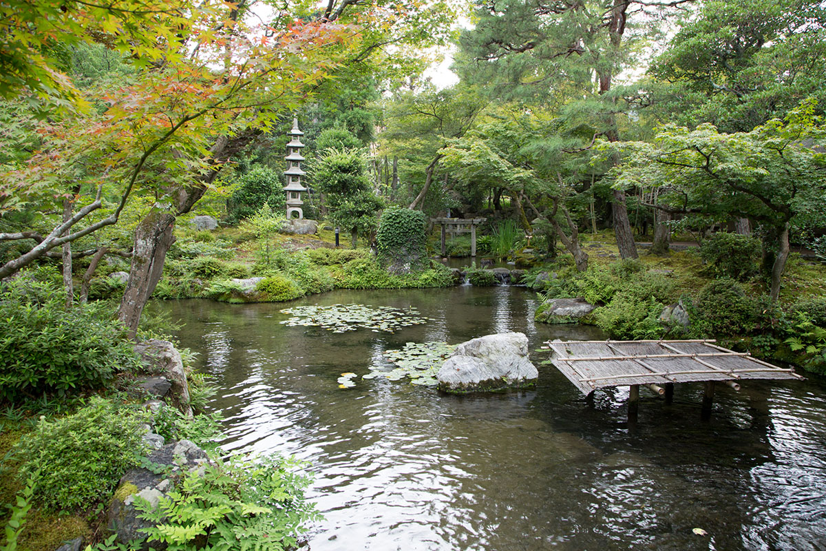 旧时气韵，现代延承 | 植彌加藤-64