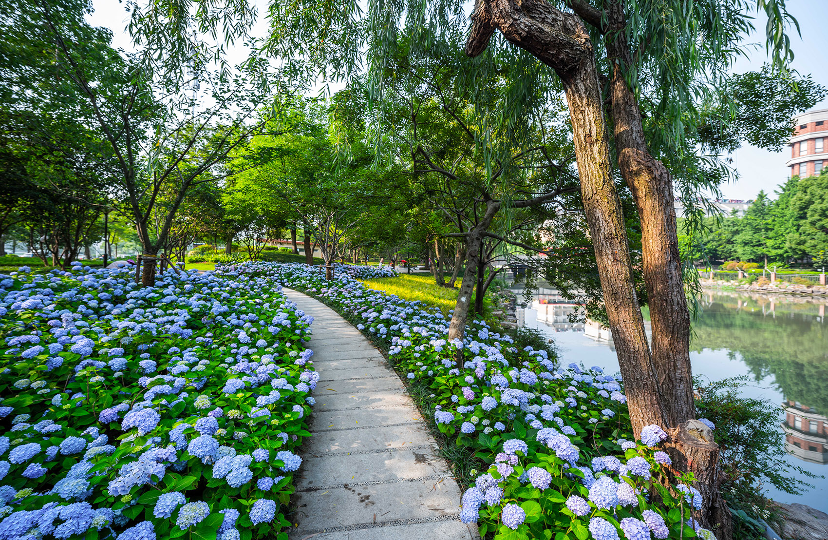 嘉兴口袋公园-36