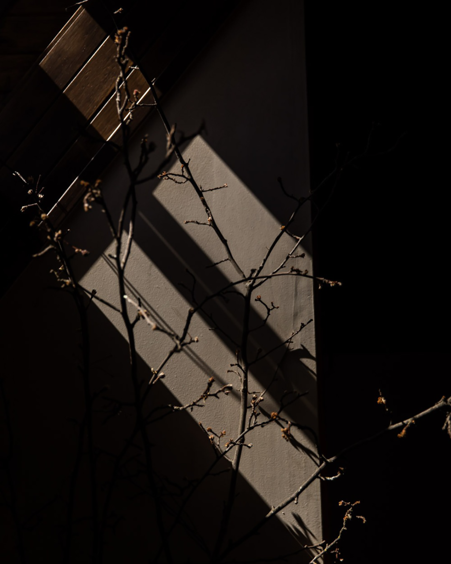 SABI民宿丨澳大利亚-64