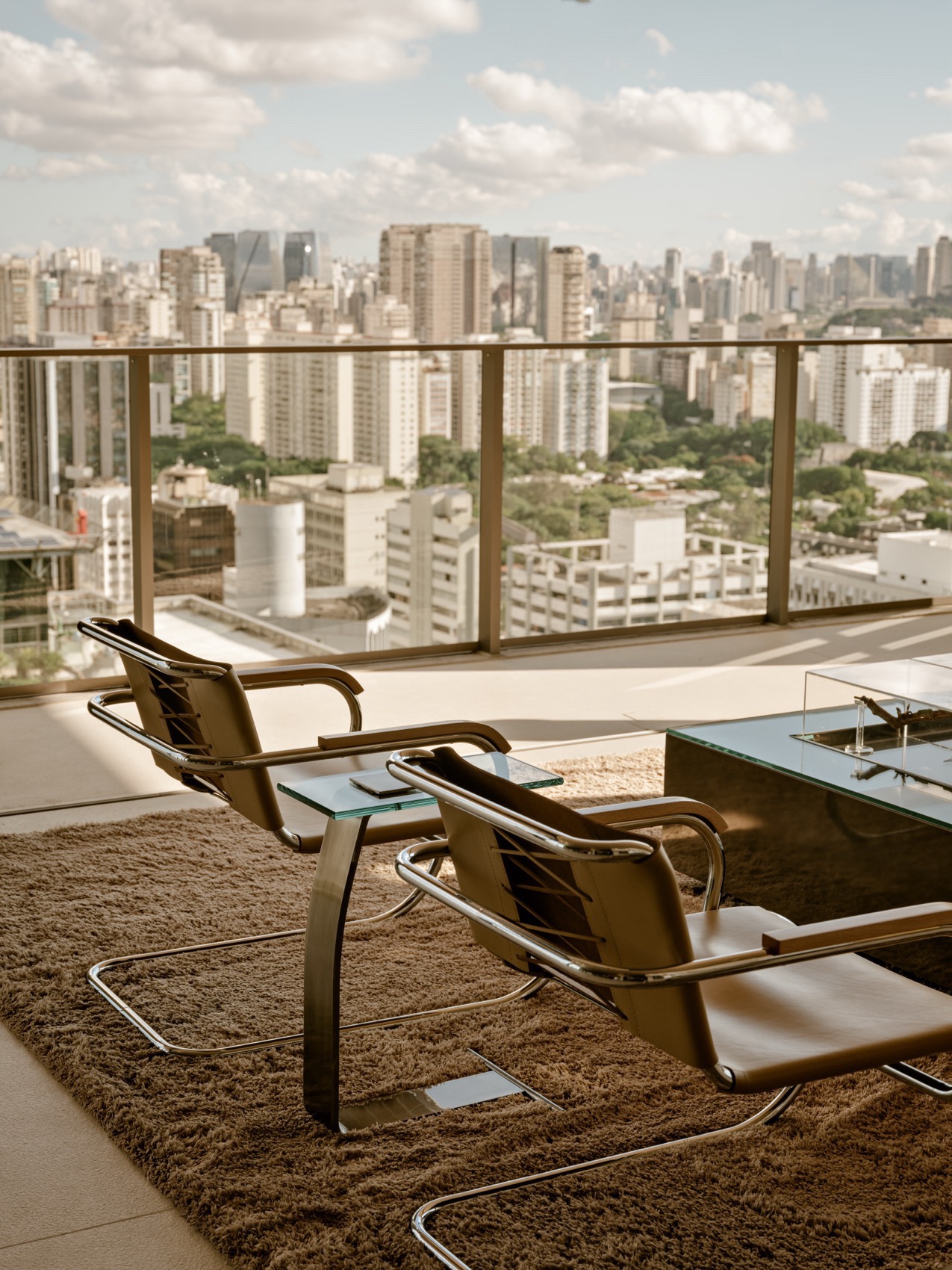 AC公寓丨巴西圣保罗丨Studio Arthur Casas-16