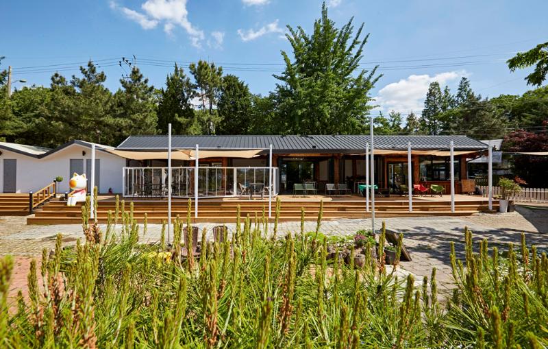 40 平韩屋猫咖，体验复古温馨-15