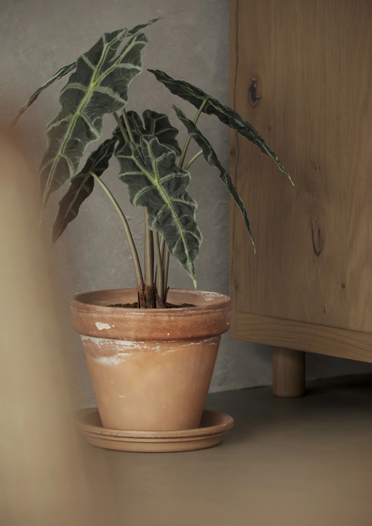 温润岁月丨比利时丨Grigorii Khatlamadzhiian-28