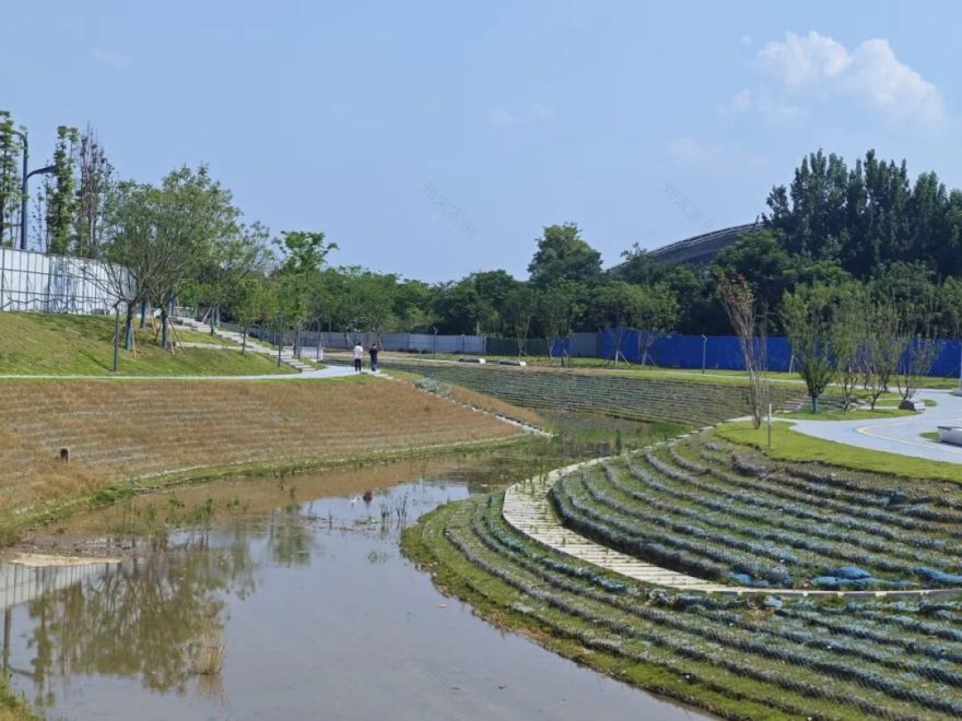 四川天府新区大湖堰项目竣工,市市政交通院治水患、添绿意、迎世运-19