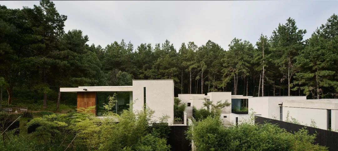 山谷松林里的隐世秘境之旅｜PrivateJourneyinthePineryValley-113