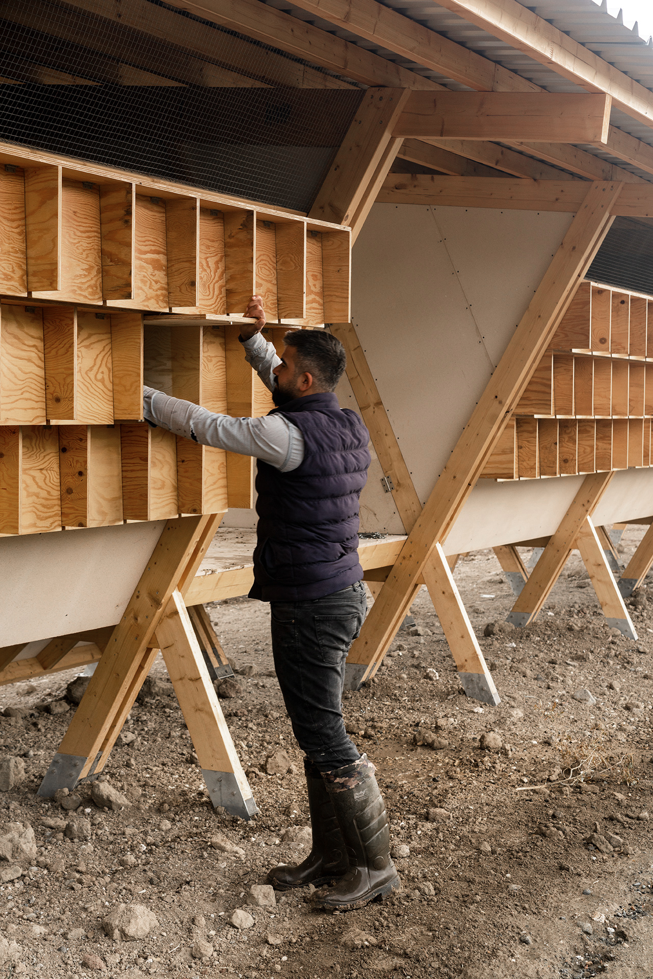 土耳其“鸡舍”艺术农场-20