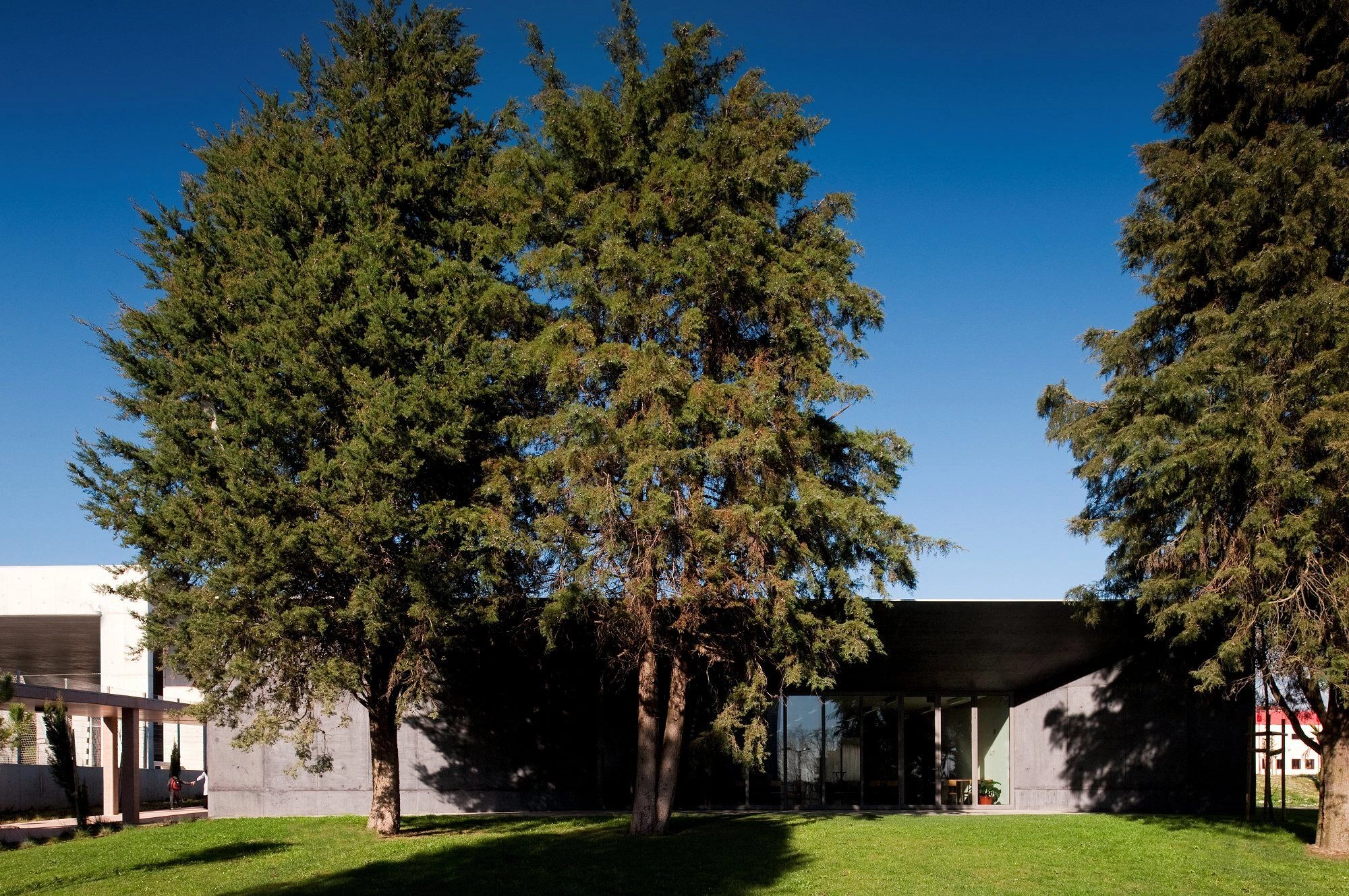 MontemoroVelho 中小学丨葡萄牙丨ATELIER CENTRAL Arquitectos-35