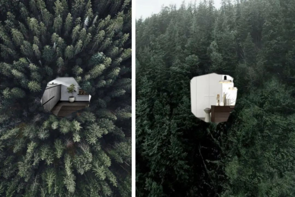 丛林之旅丨中国北京-2