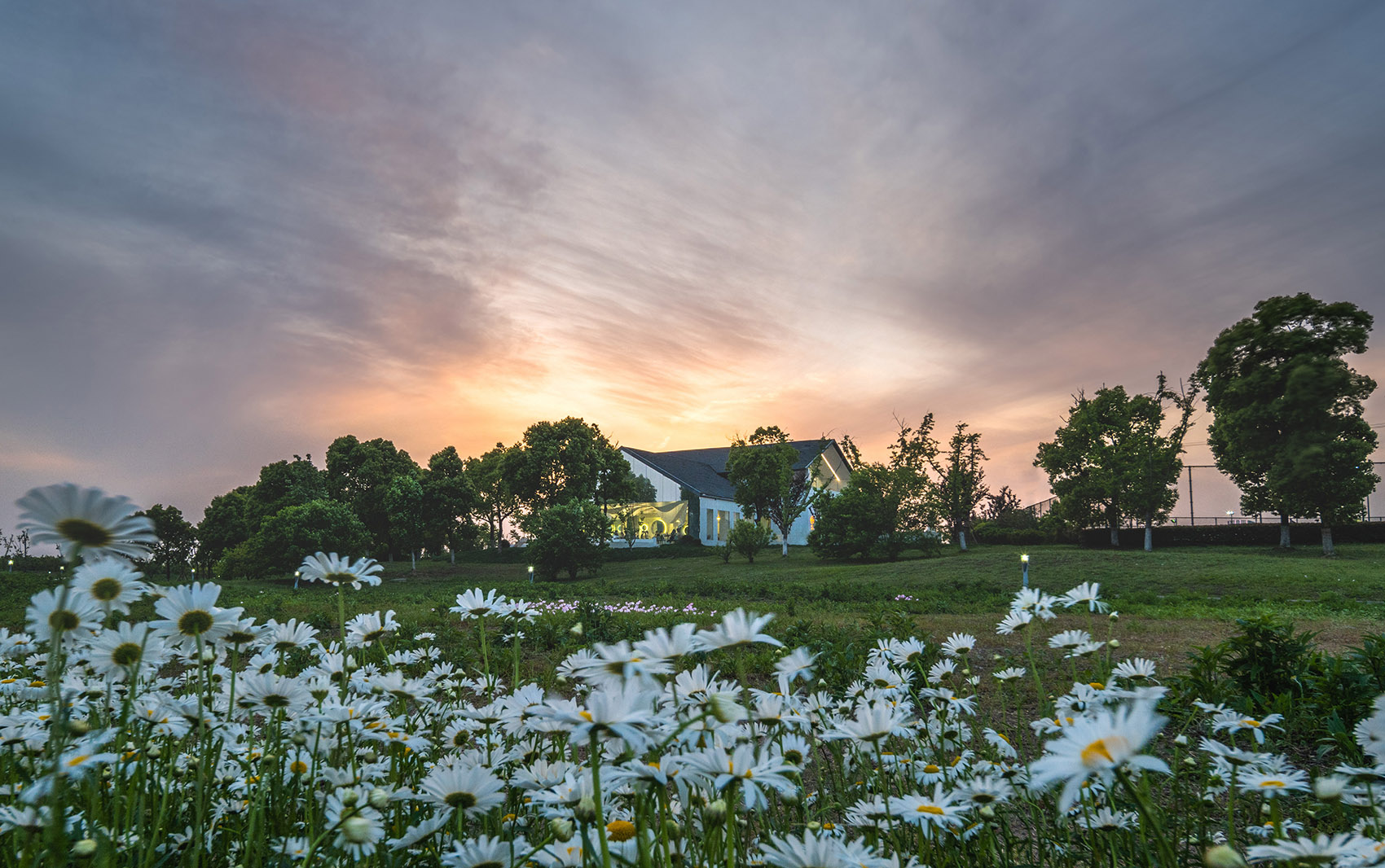苏州湾体育公园休闲配套 & Lim 咖啡丨中国苏州丨平介设计-47
