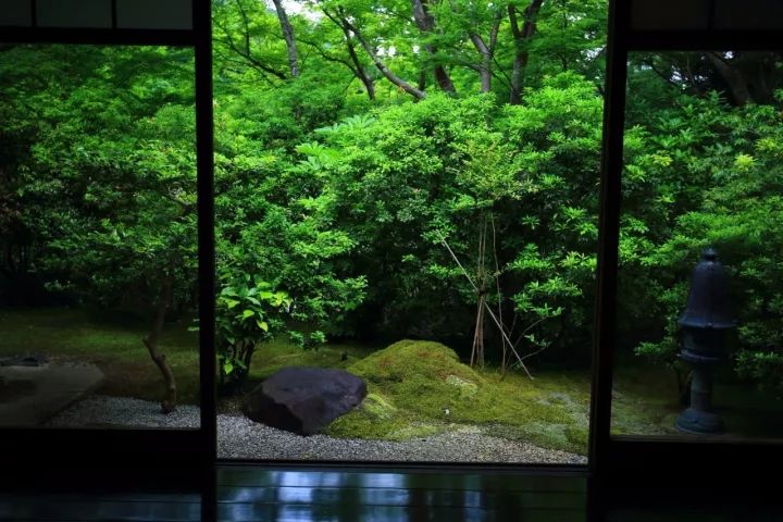 庭院满青苔，极美！-52