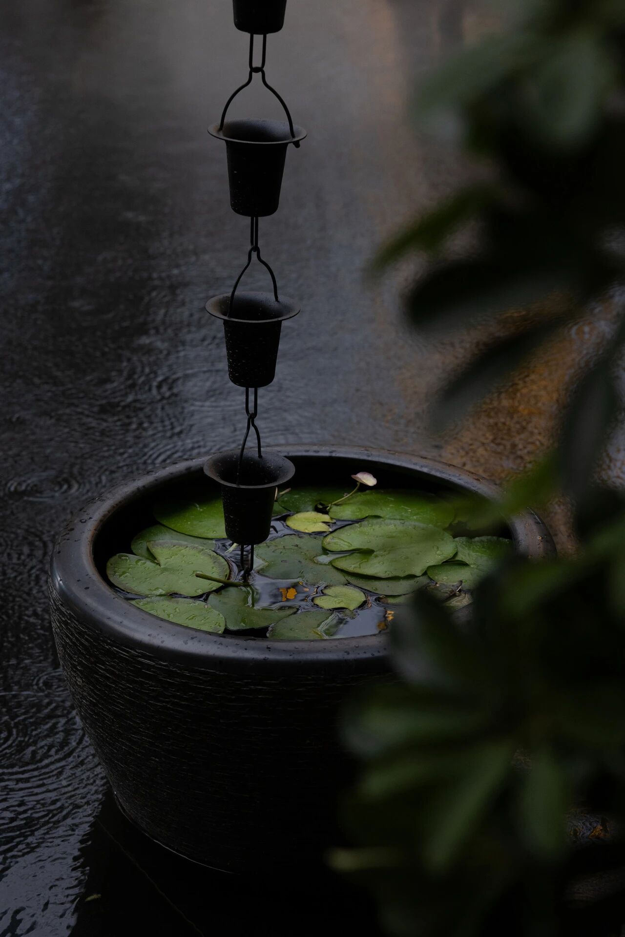 听山丨中国石家庄丨BloomDesign绽放设计-6