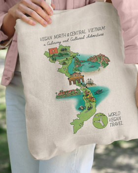 Illustrated Visual System for a Travel Brand