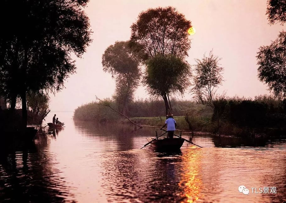 雄安白洋淀水岸公园景观设计丨TLS景观设计事务所-16