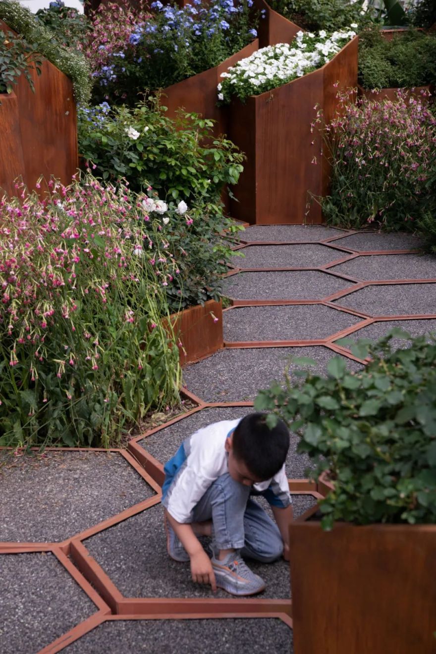 2023德阳市花月季展德阳园 | 齿轮花园-104