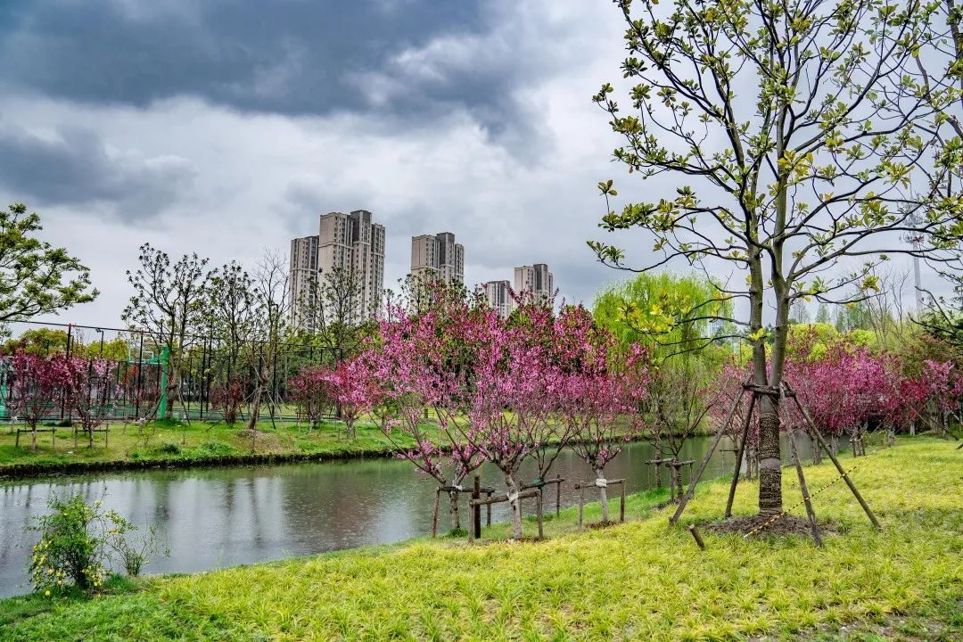 上海松江方松体育公园-83