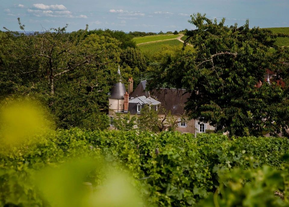 Lestang 1573 酒庄丨法国丨Joséphine Fossey Office-4