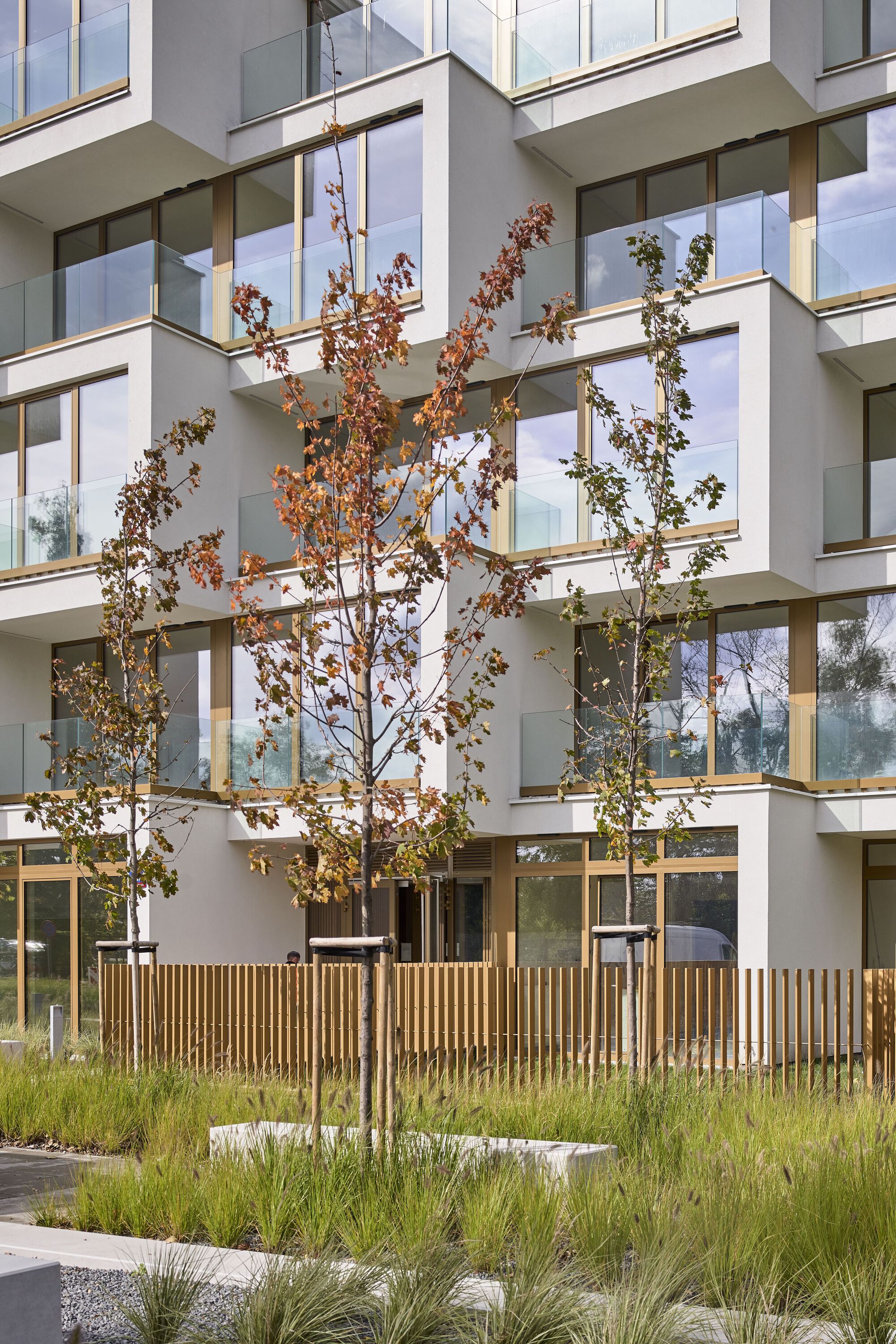 波托茨卡公寓丨波兰华沙丨POLE Architekci-24