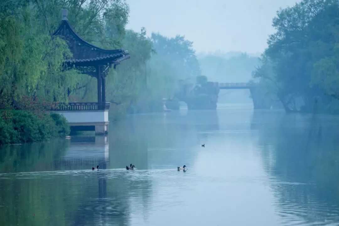 古色之美 | 传统色彩的现代演绎-41