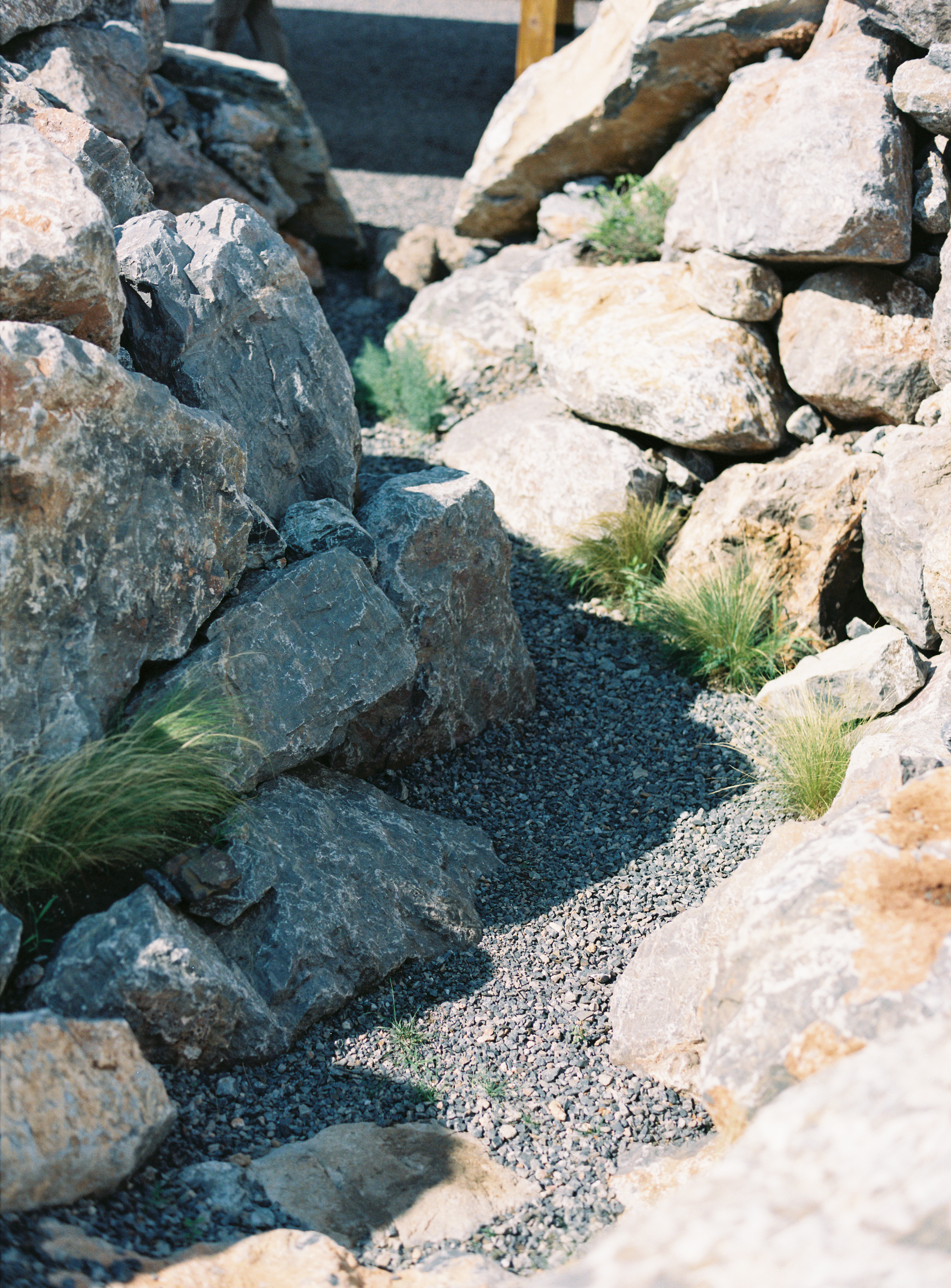 谷堆白沙 一期 景观丨中国白沙丨boll是园-91