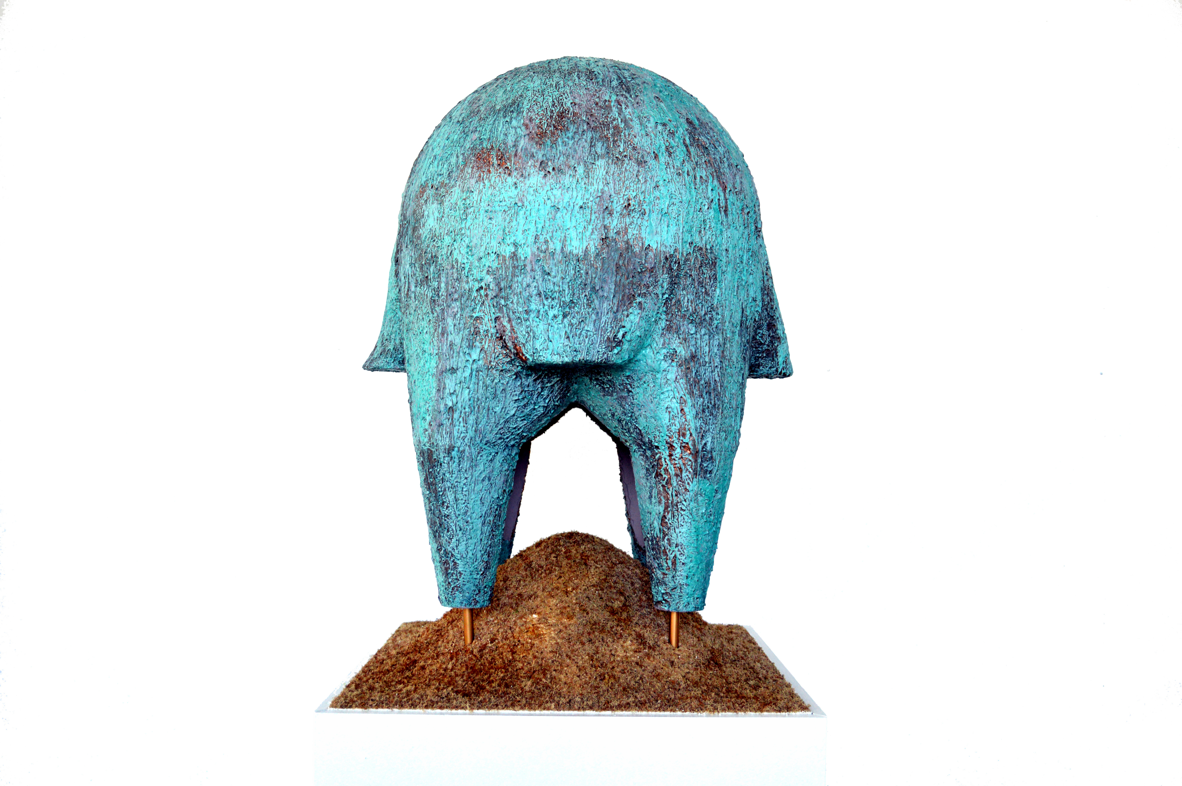 A Project Four Domes — endemicarchitecture-12