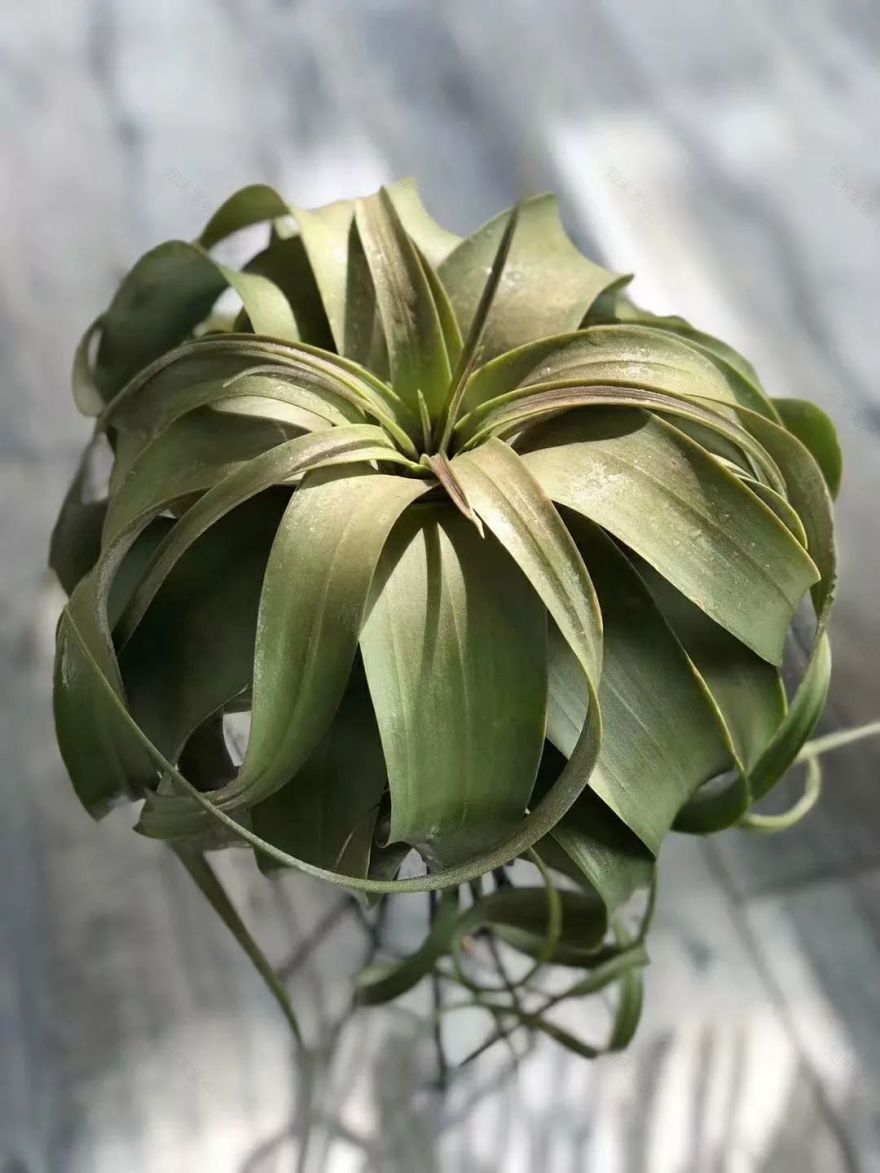 广州 115㎡女孩之家,纯软装打造文艺生活空间-58